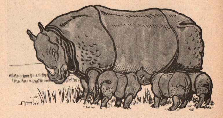 Ambrosini 1944 Three babies