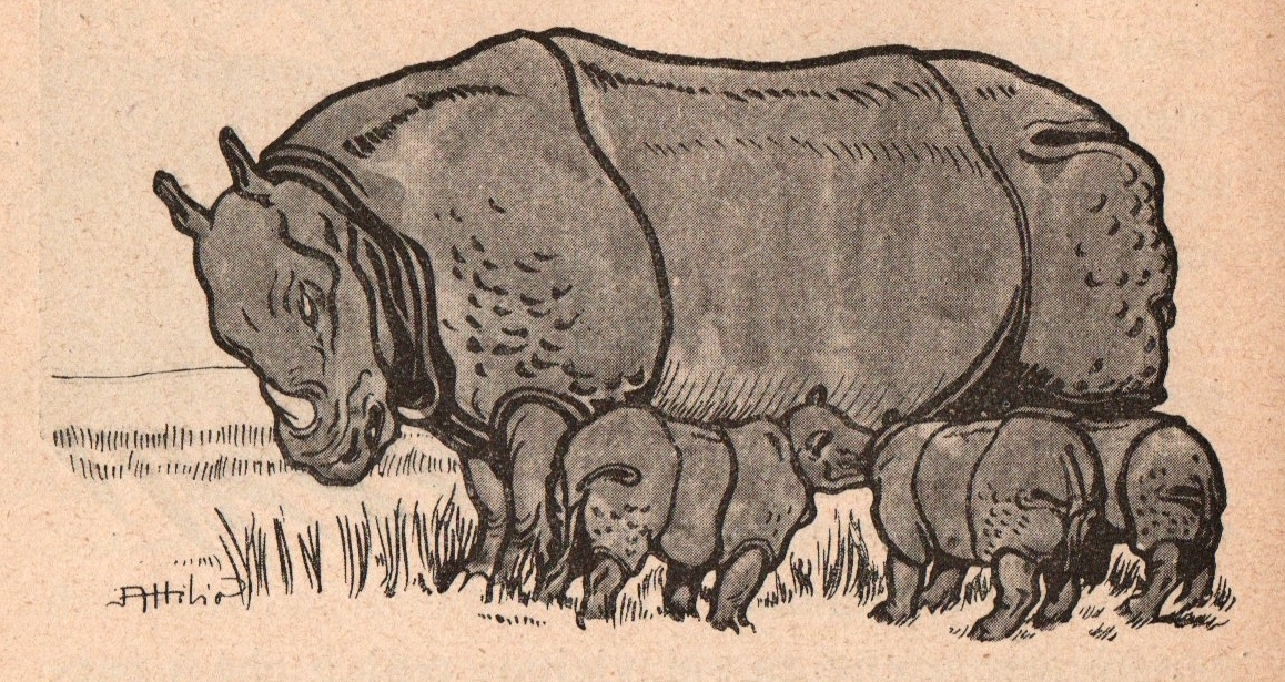 Ambrosini 1944 Three babies
