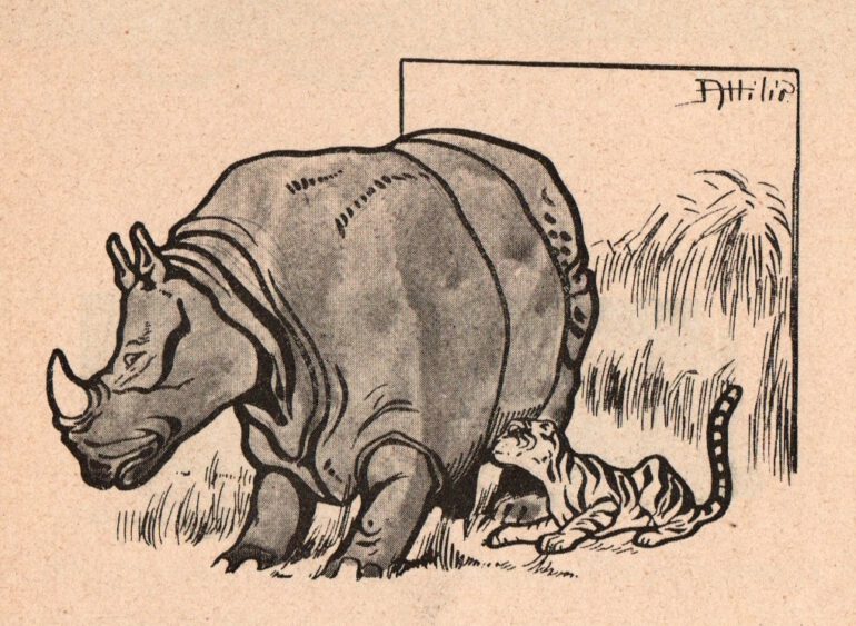 Ambrosini 1944 Tiger