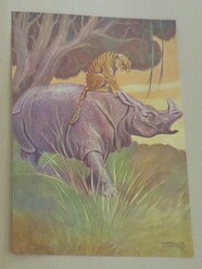 Ambrosini 1926 Tiger riding a rhino