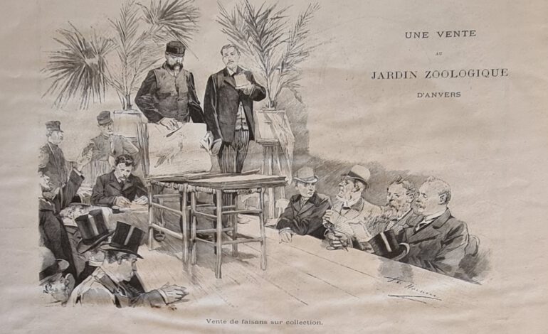 Antwerp Zoo 1893 sale
