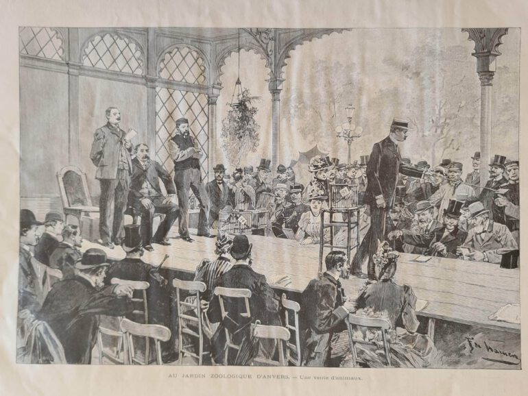 Antwerp Zoo 1893 animals for sale