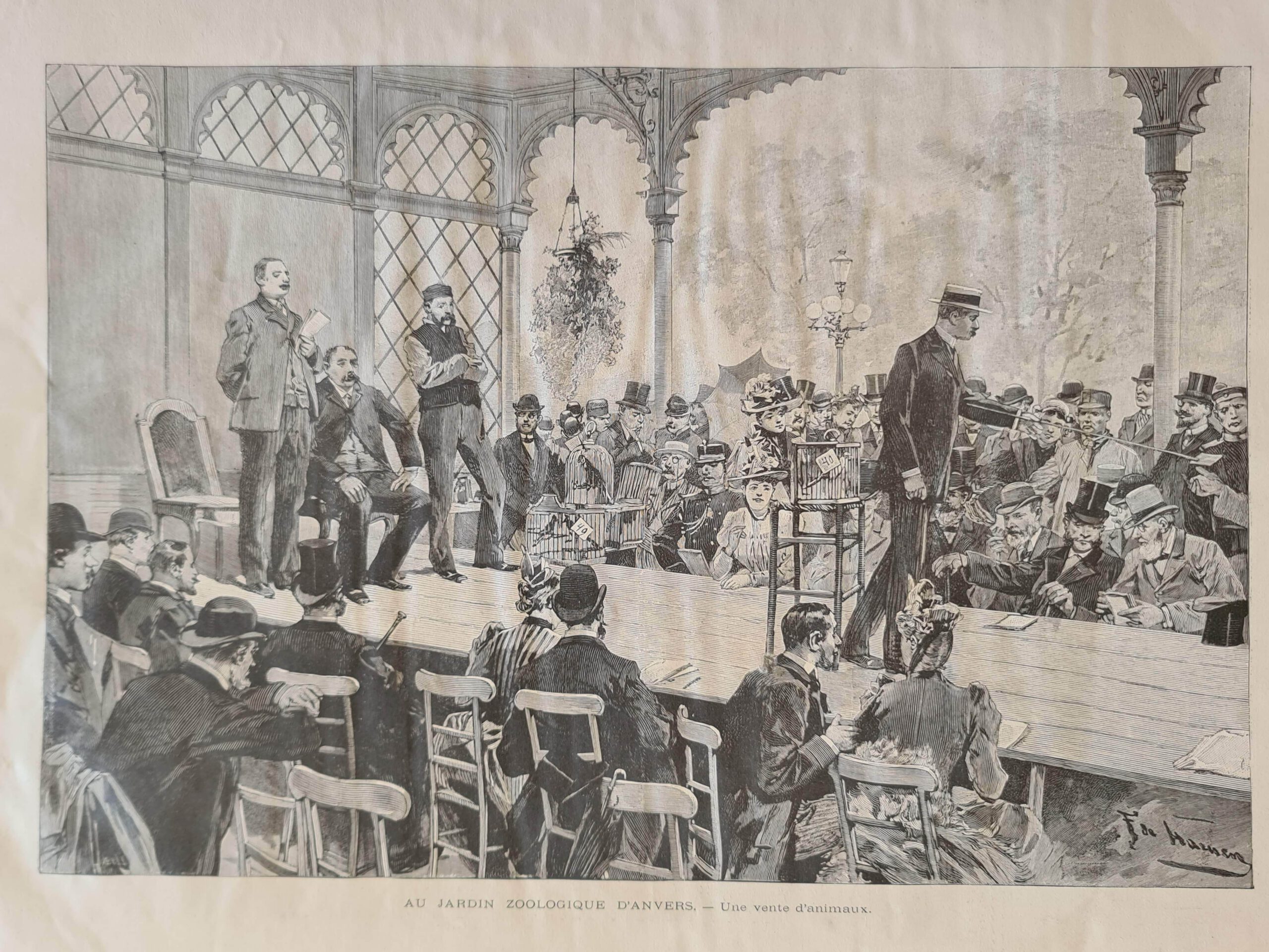 Antwerp Zoo 1893 animals for sale