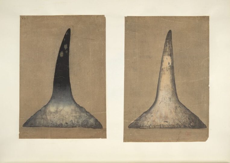 Rhino horn drawings 18th century