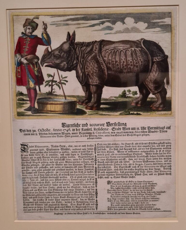 Baeck 1746 Clara in Vienna