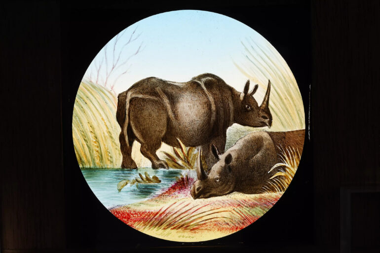 Newton 1885 Laterna Magica