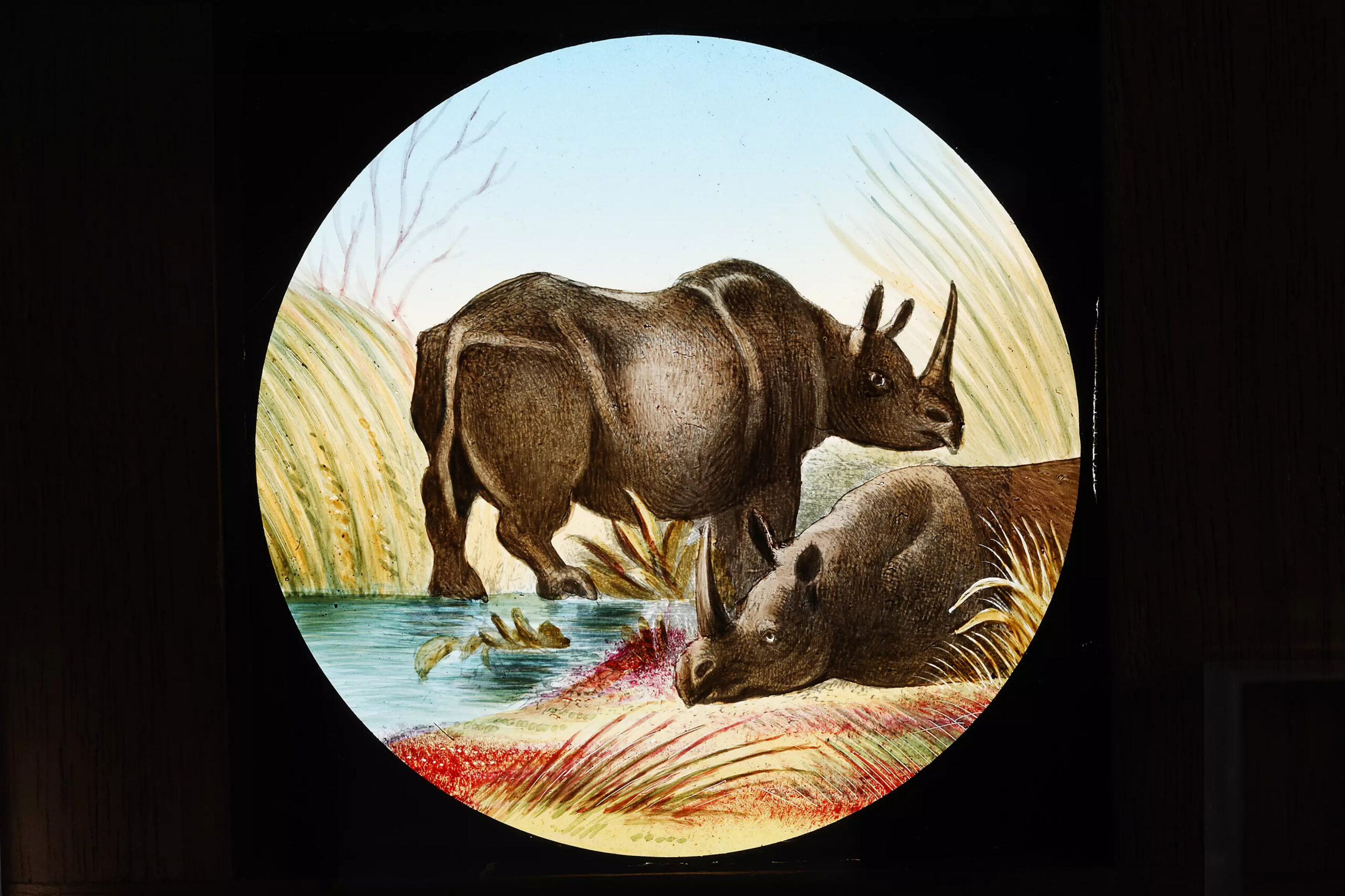 Newton 1885 Laterna Magica