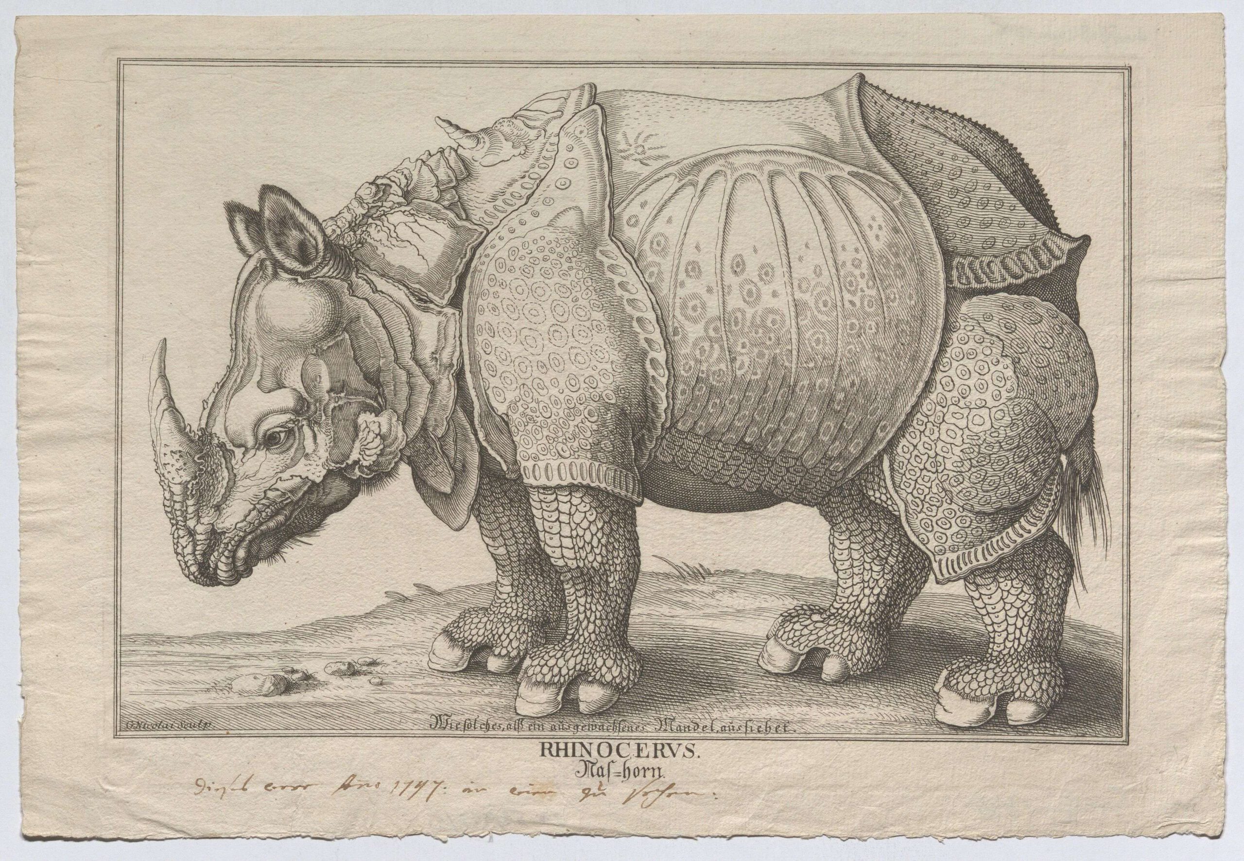 Nicolai 1747 Nashorn