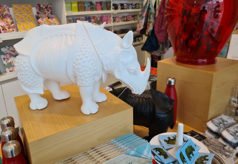 Rhino model after Durer