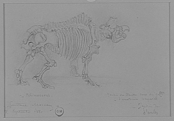 Moreau 1881 skeleton