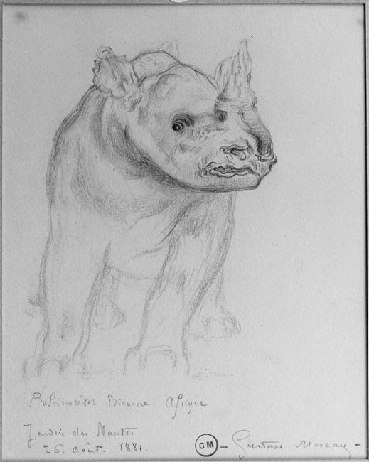 Moreau 1881 black rhino
