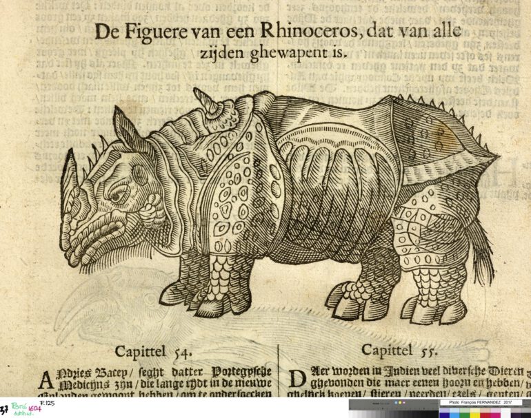 Paré 1604 Chirurgie