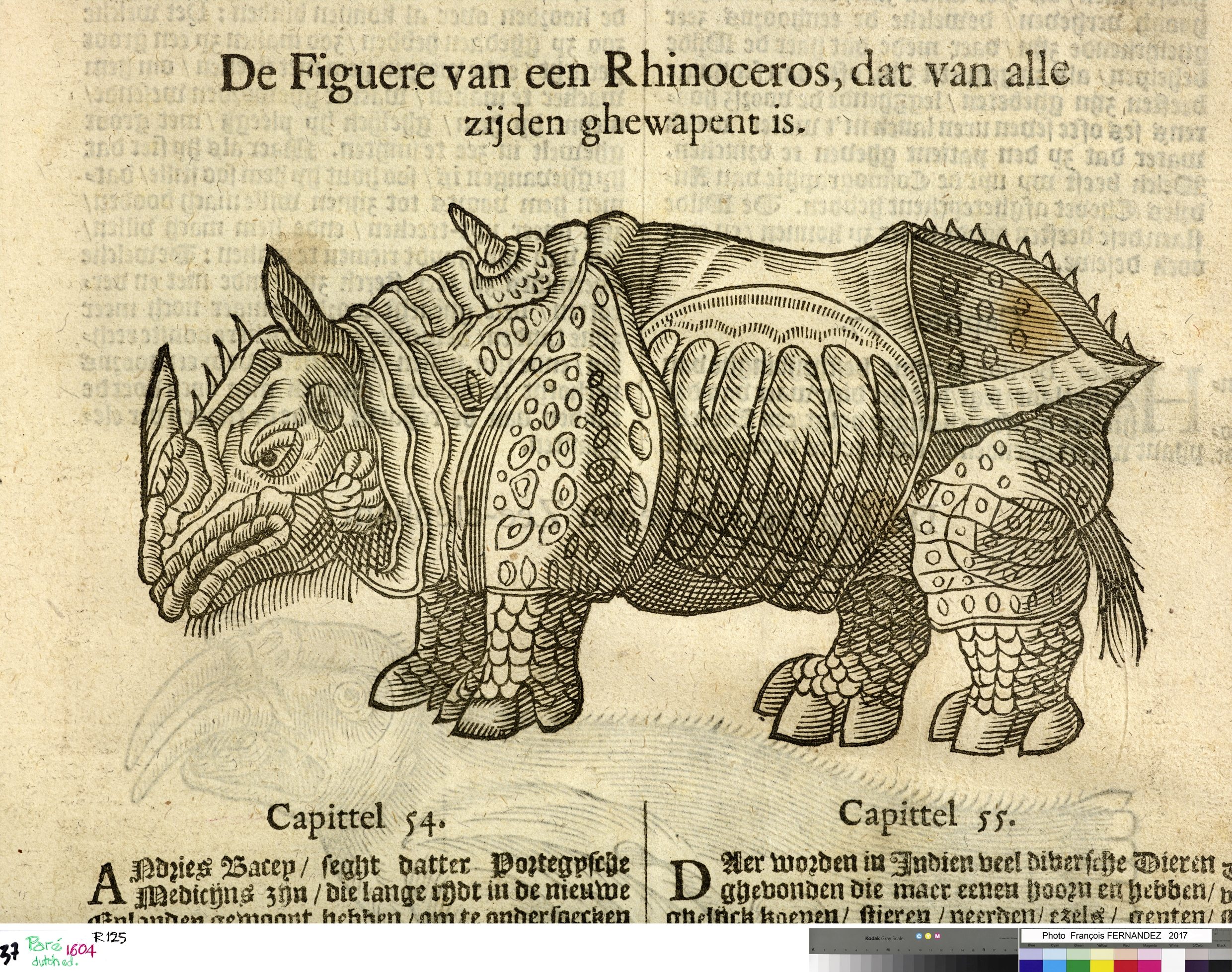 Paré 1604 Chirurgie
