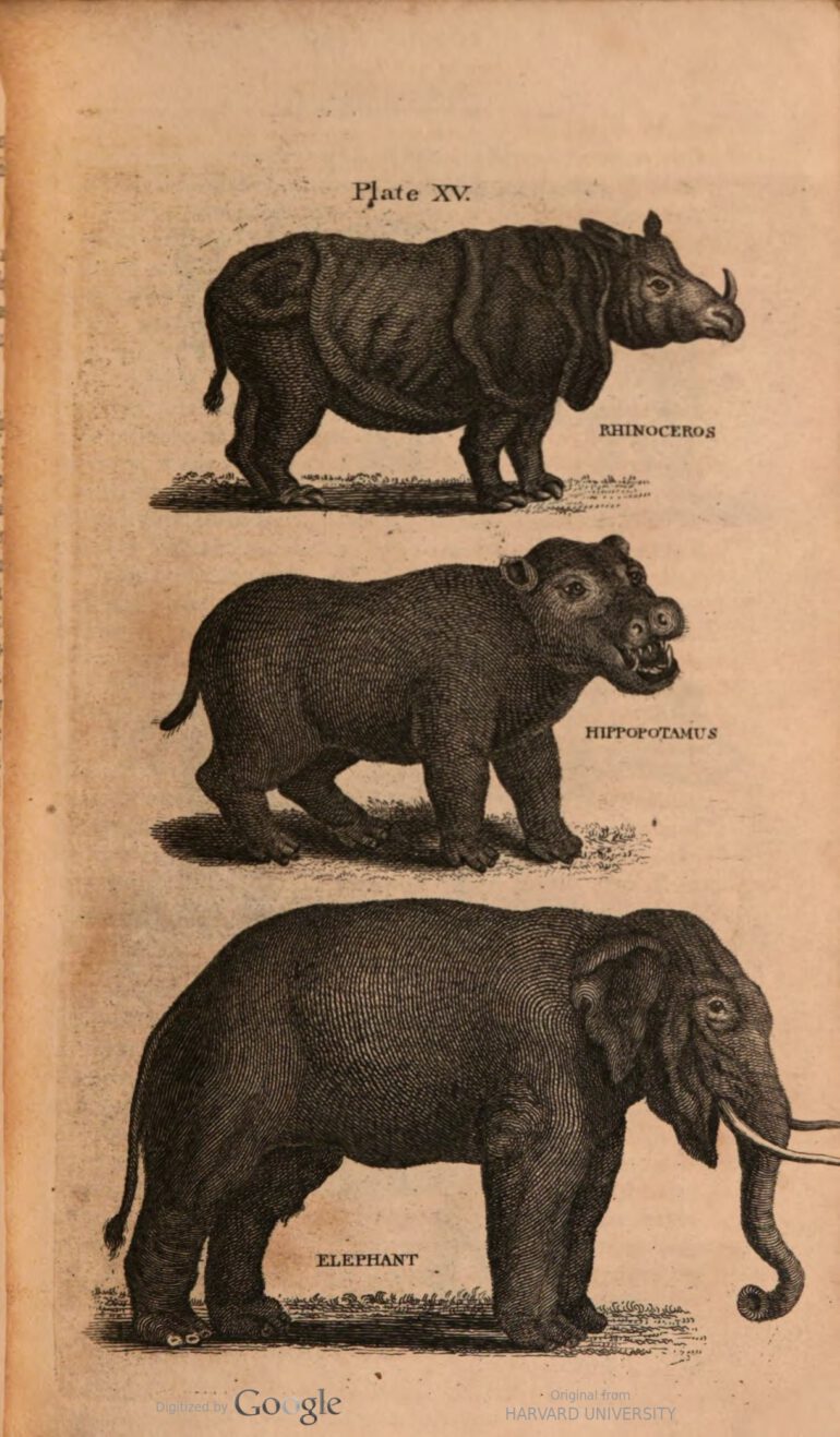 Cabinet 1801 three quadrupeds