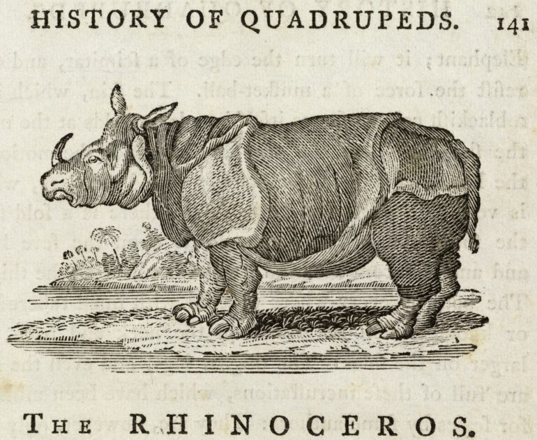 Bewick 1790 History of Quadrupeds