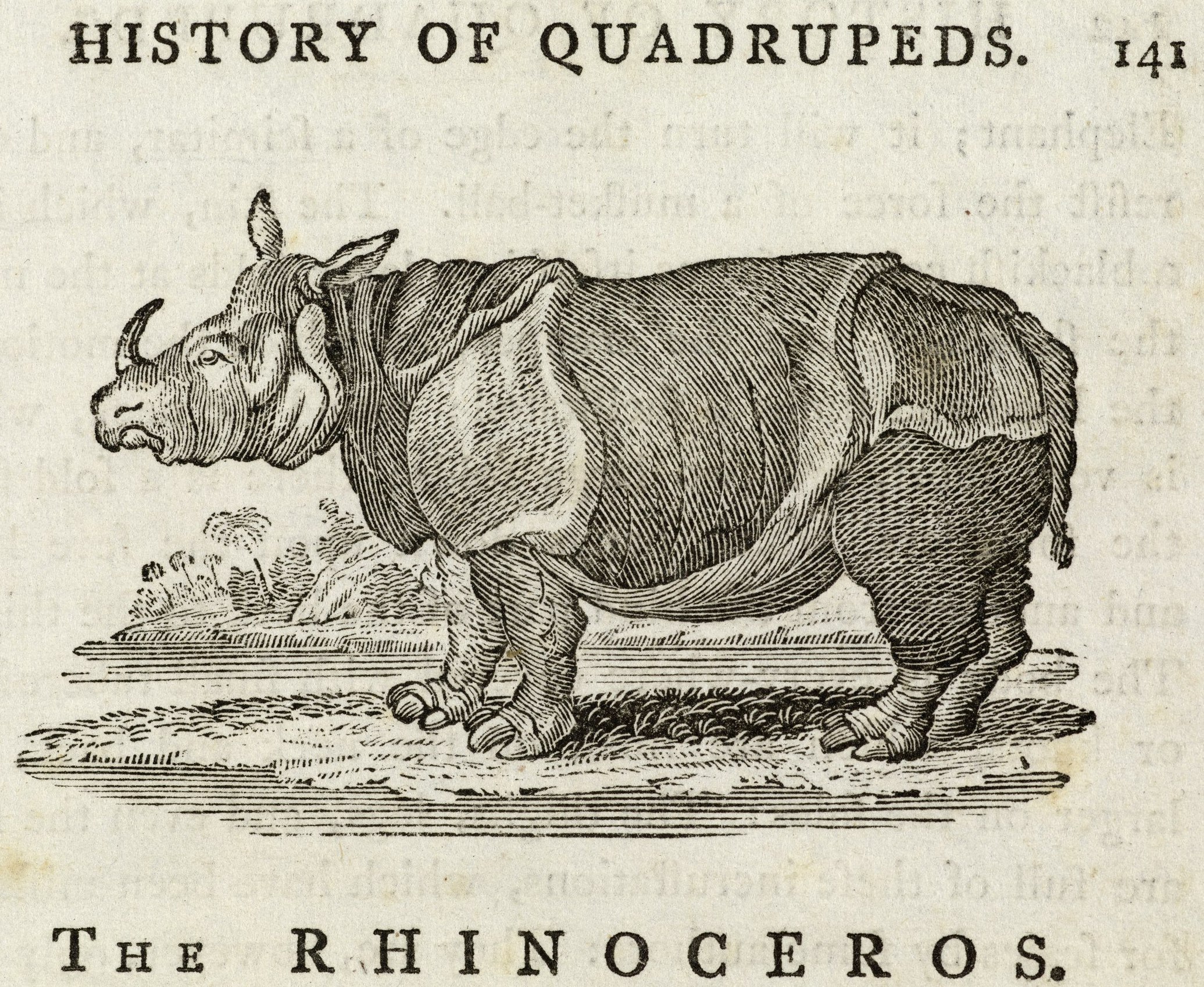 Bewick 1790 History of Quadrupeds