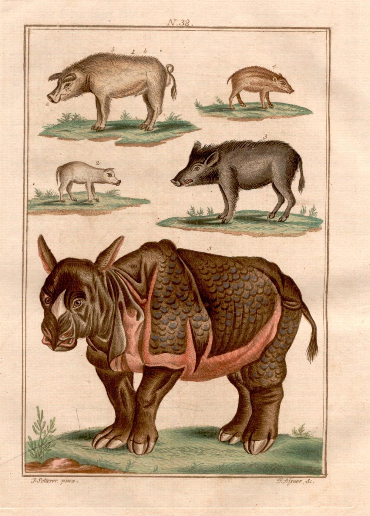 Baumeister 1788 Welt in Bildern