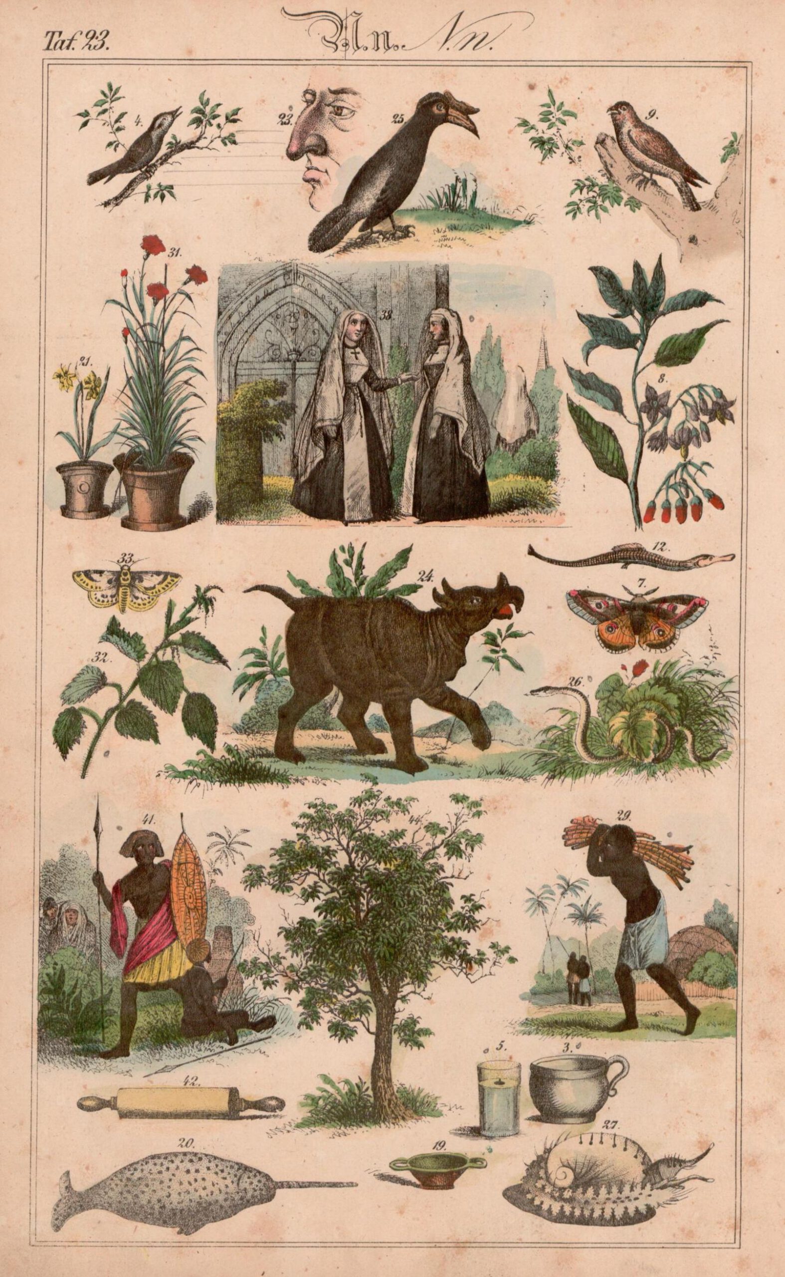 Becher 1843 Orbis Pictus