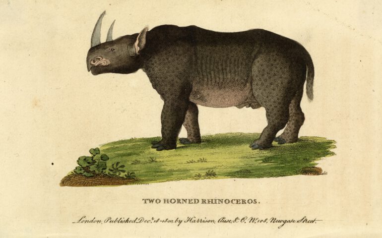 Pocket Magazine 1800 or 1802