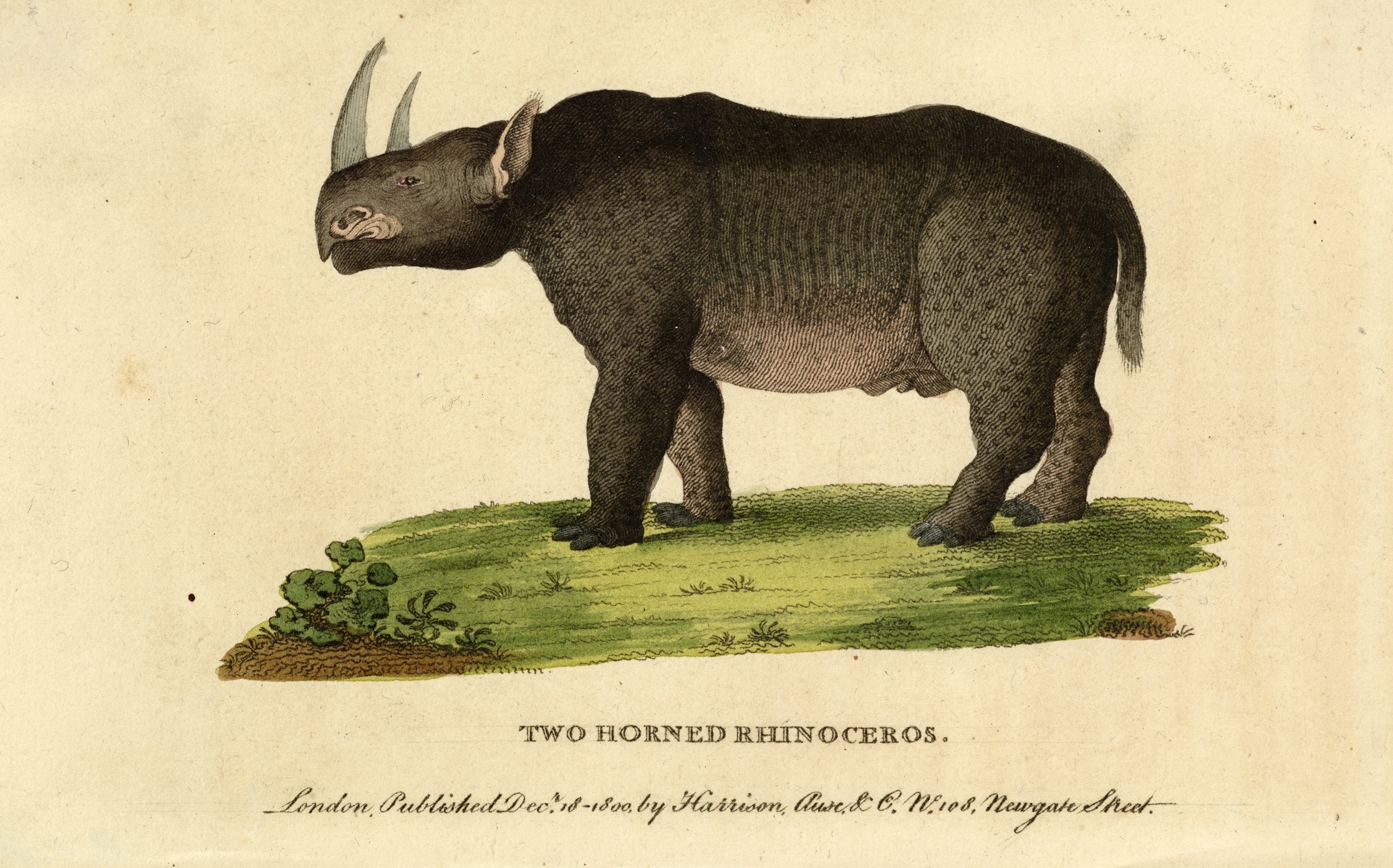 Pocket Magazine 1800 or 1802