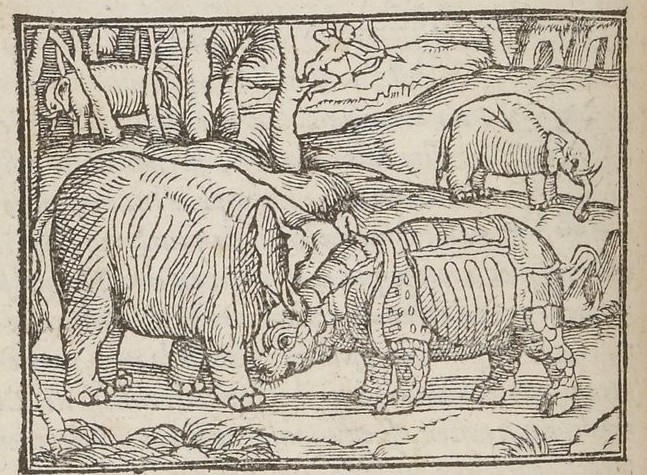 Thevet 1558 Antwerp edition