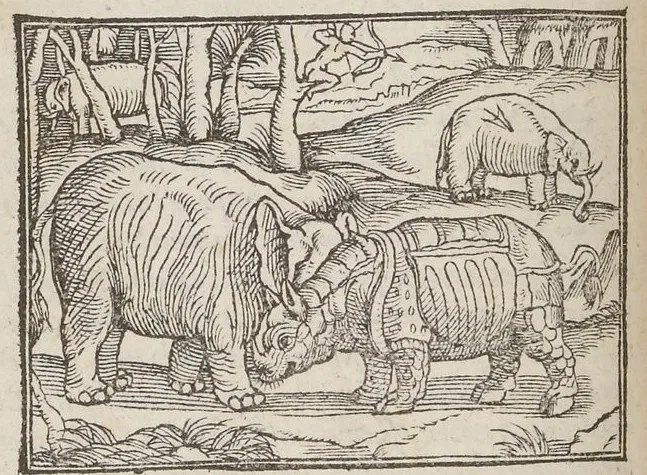 Thevet 1558 Antwerp edition