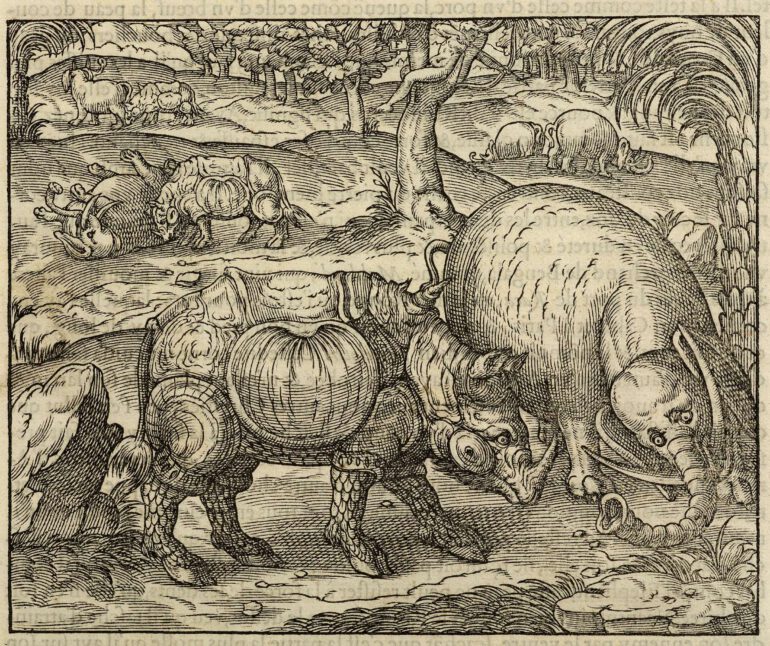 Thevet 1575 Cosmographie