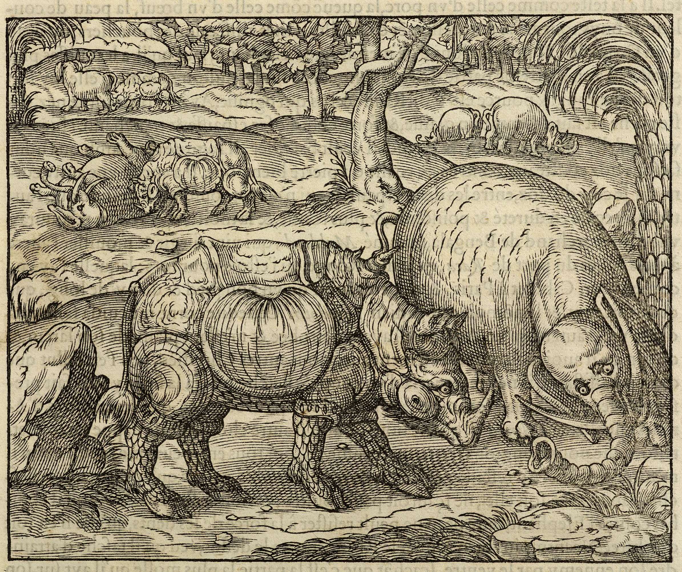 Thevet 1575 Cosmographie