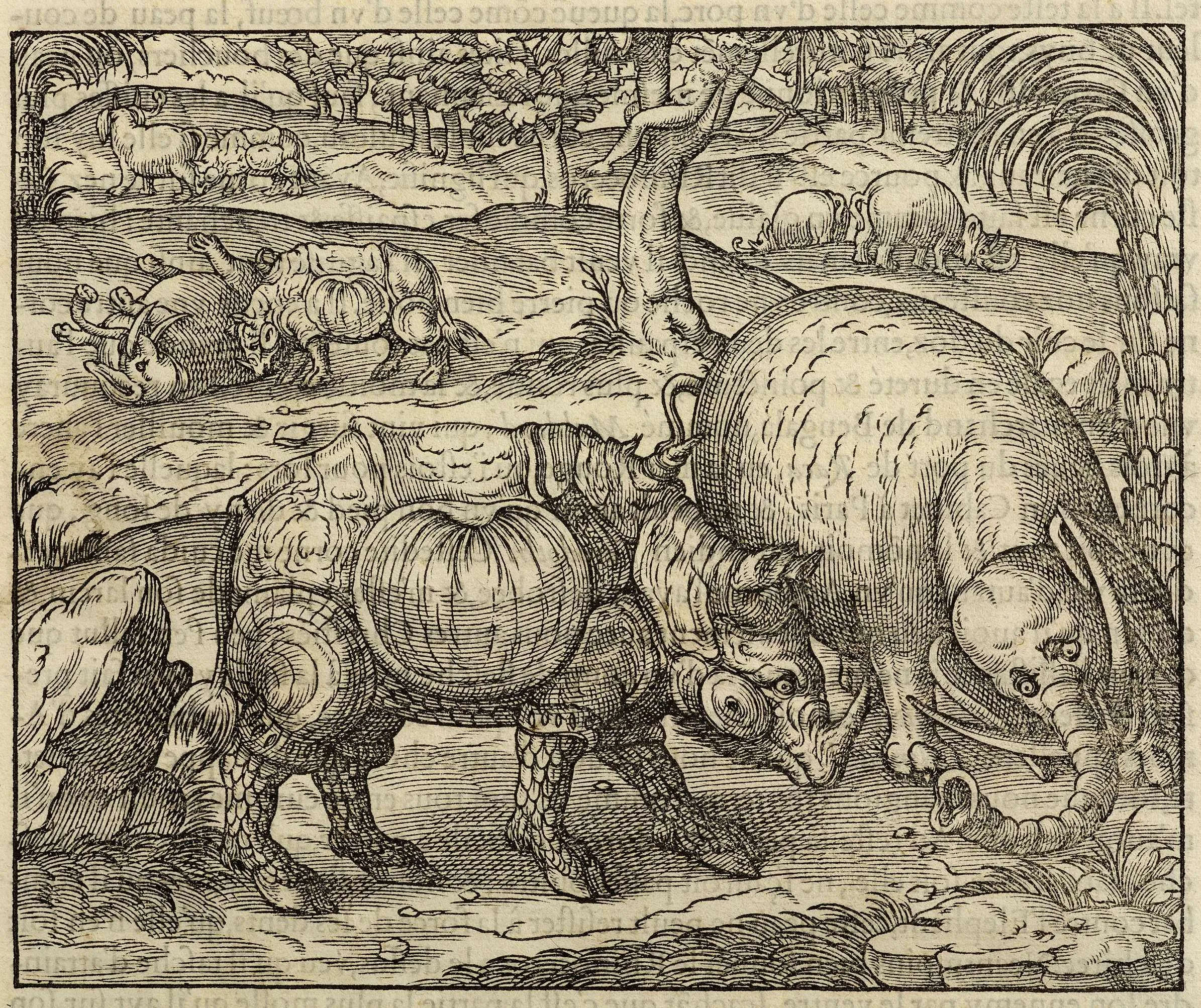 Thevet 1575 Cosmographie