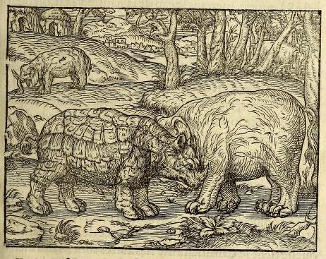 Thevet 1558 Paris edition