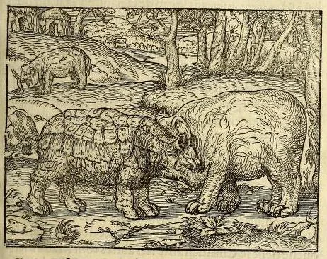 Thevet 1558 Paris edition