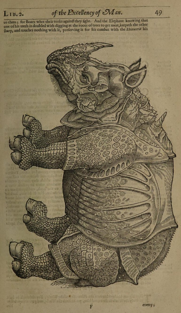 Pare 1649 Excellency of Man