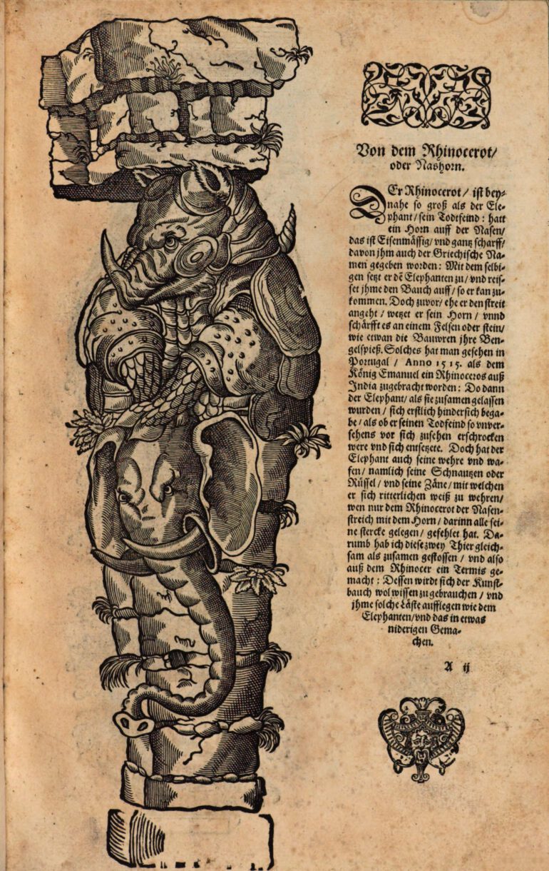 Boillot 1604 New Termis Buch