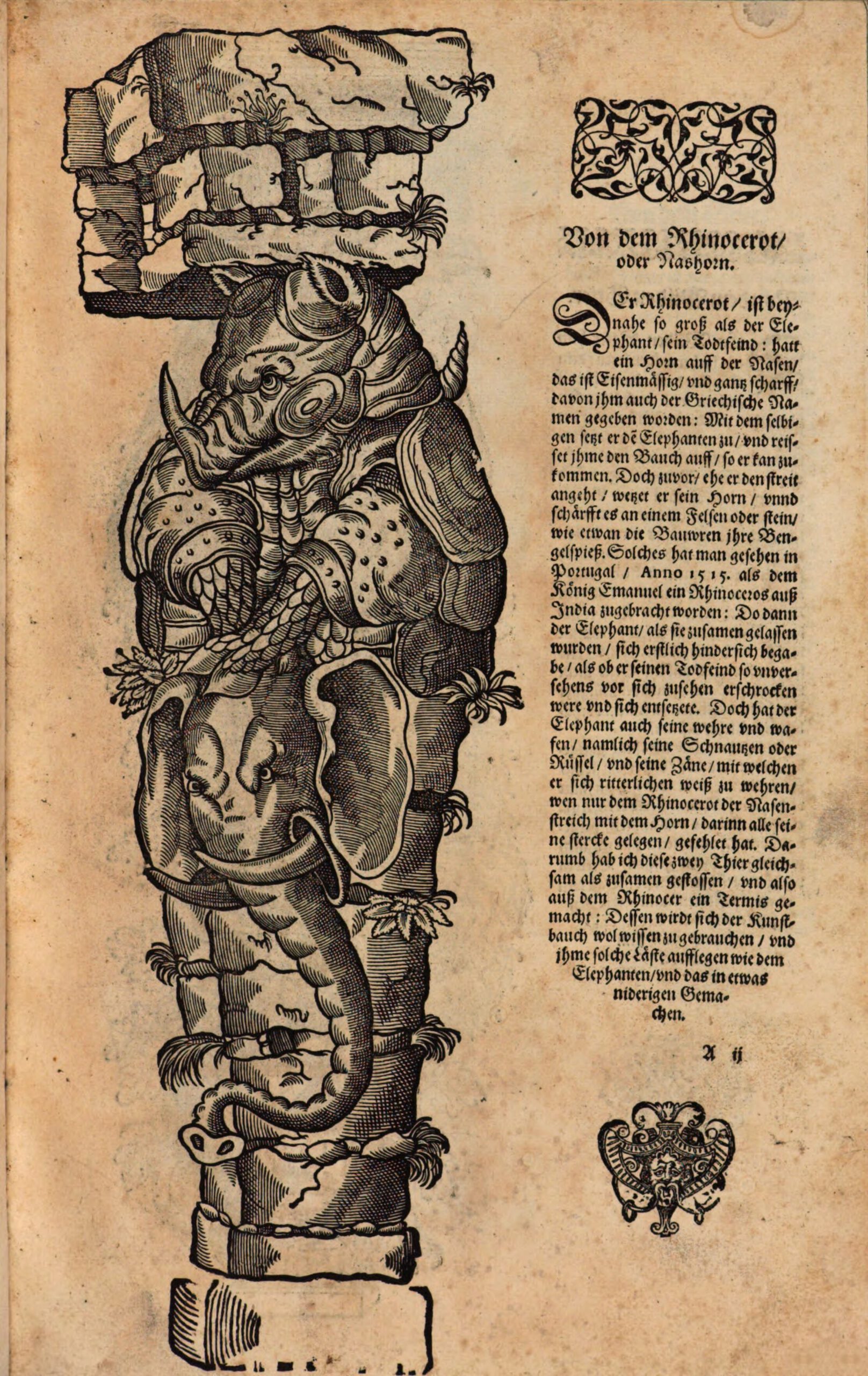 Boillot 1604 New Termis Buch