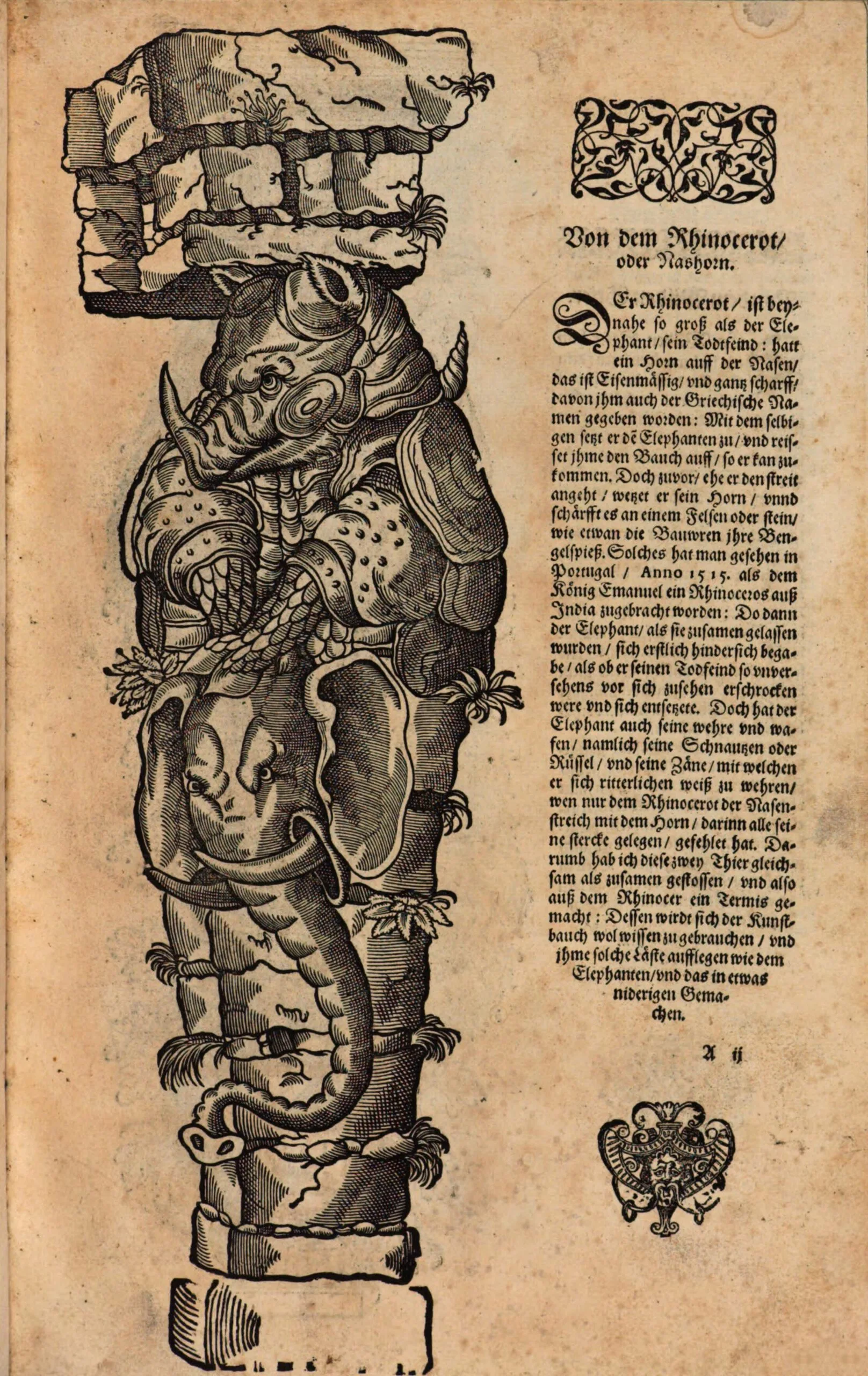 Boillot 1604 New Termis Buch
