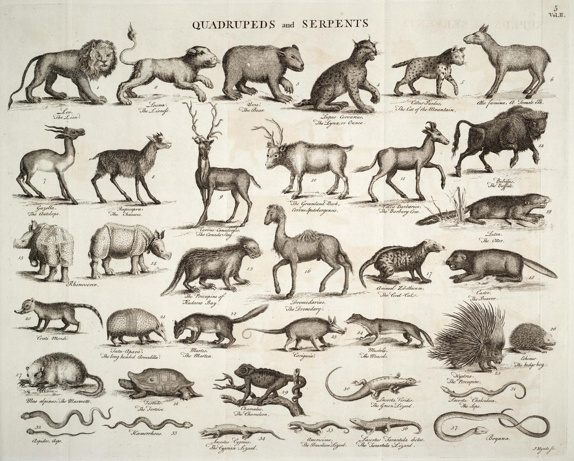 Parsons in Chambers Cyclopaedia 1753