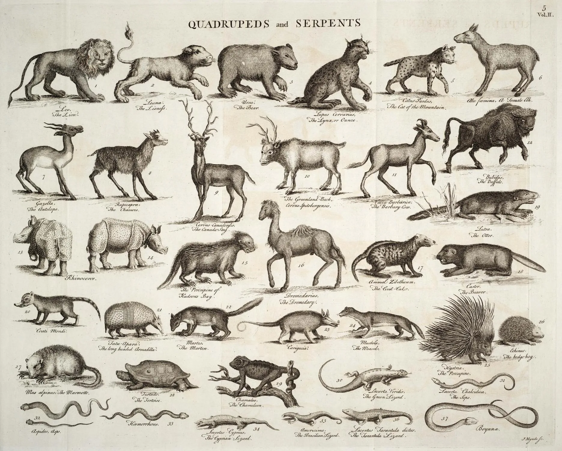 Parsons in Chambers Cyclopaedia 1753