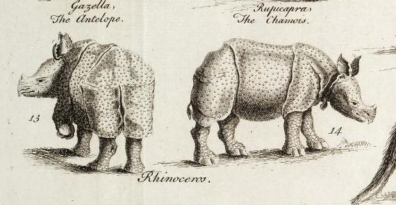 Chambers Cyclopaedia 1753