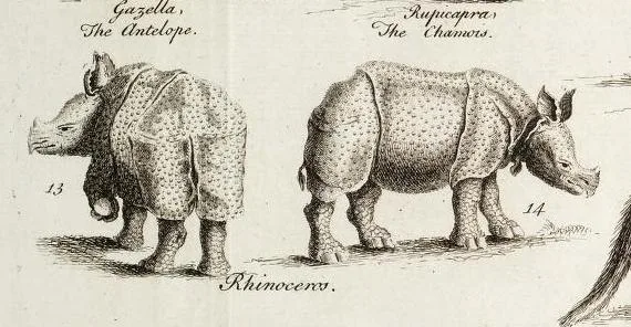 Chambers Cyclopaedia 1753