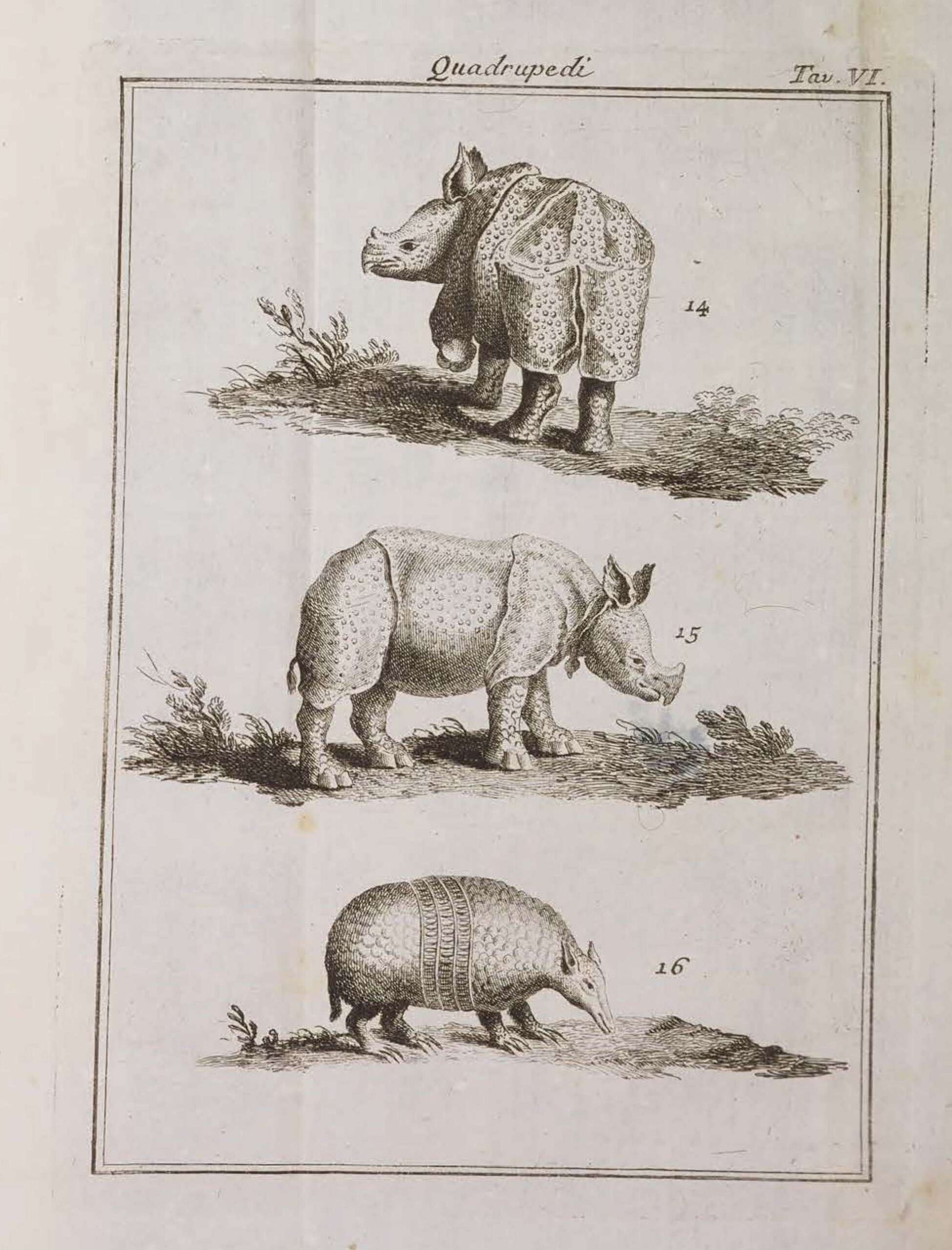 Italian version of Chambers Cyclopaedia