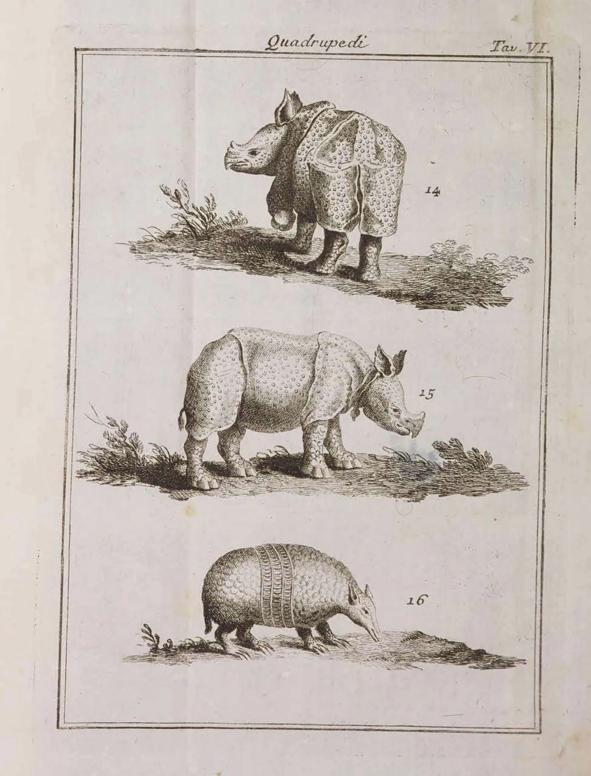 Italian version of Chambers Cyclopaedia