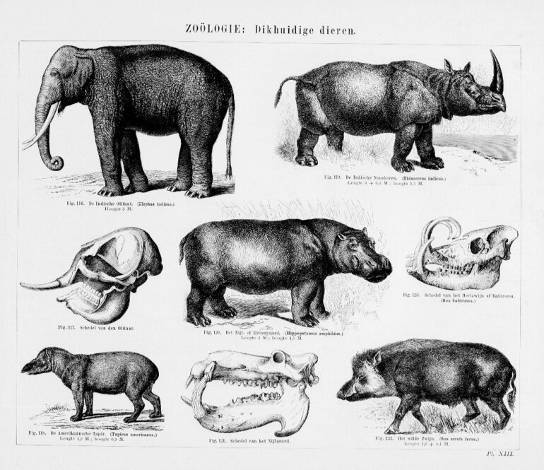 Arendts 1660 Atlas for Schools