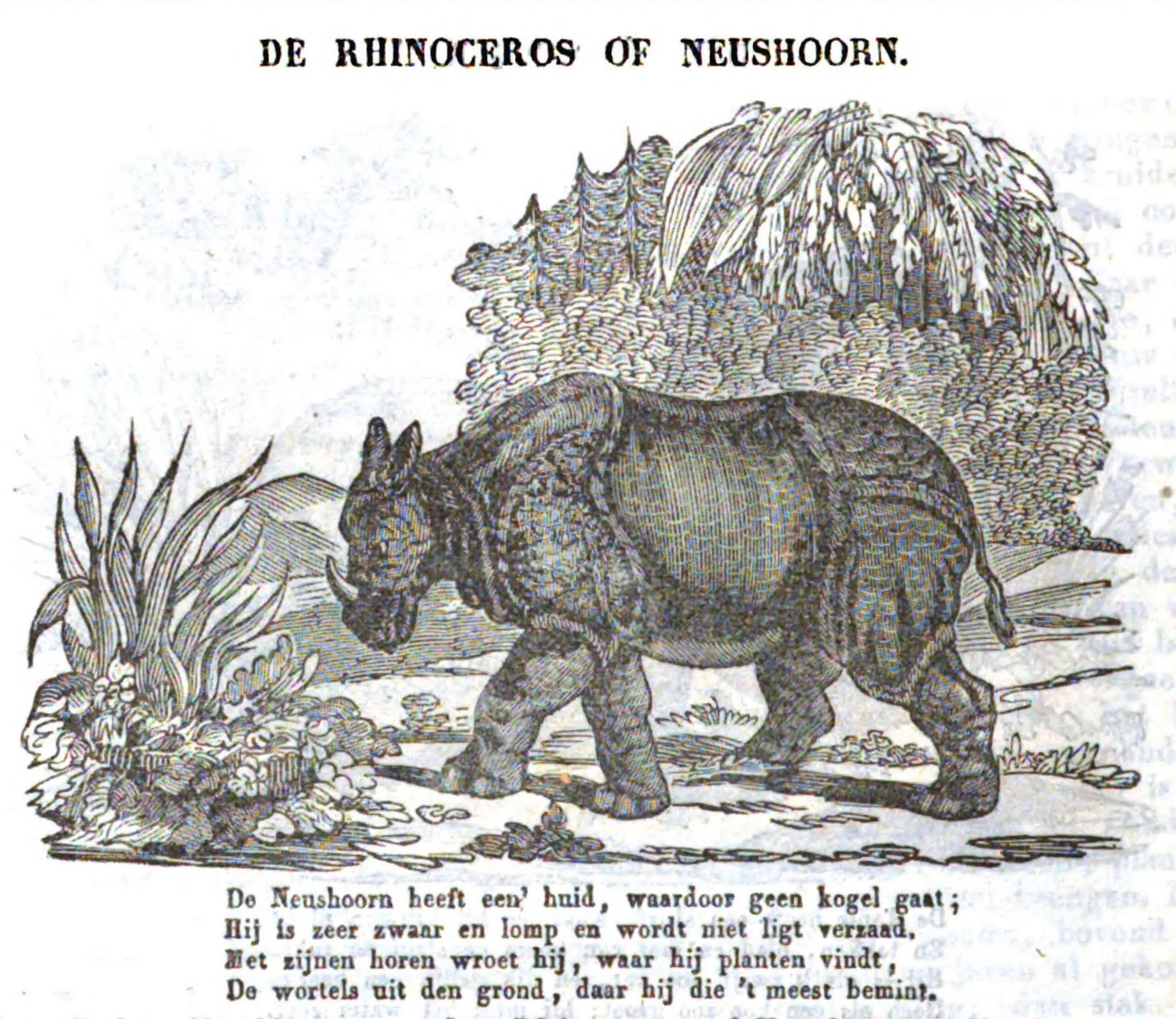 Sandwijk 1854 Prentenboek