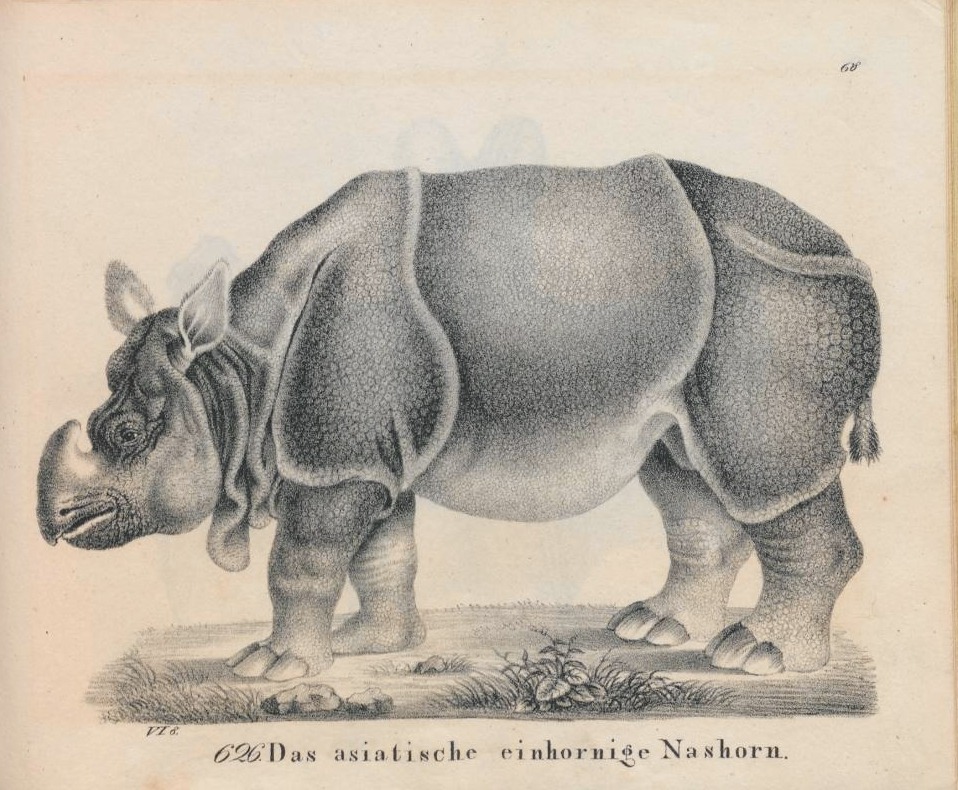 Hellfarth 1833 Neue Bildergallerie