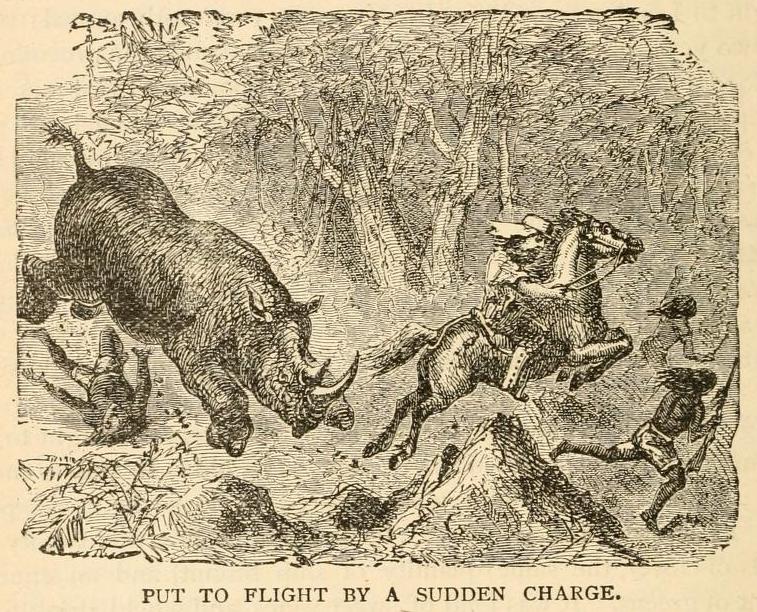 Northrop 1889 Put to Flight