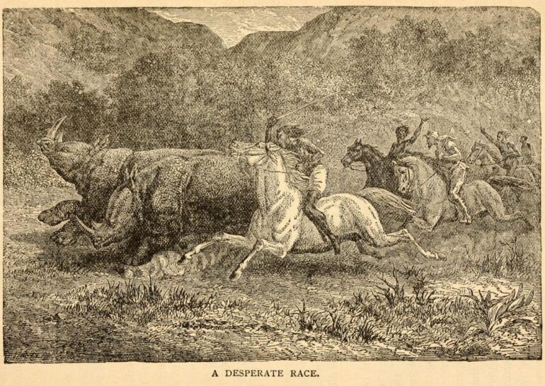 Northrop 1889 Desperate Race