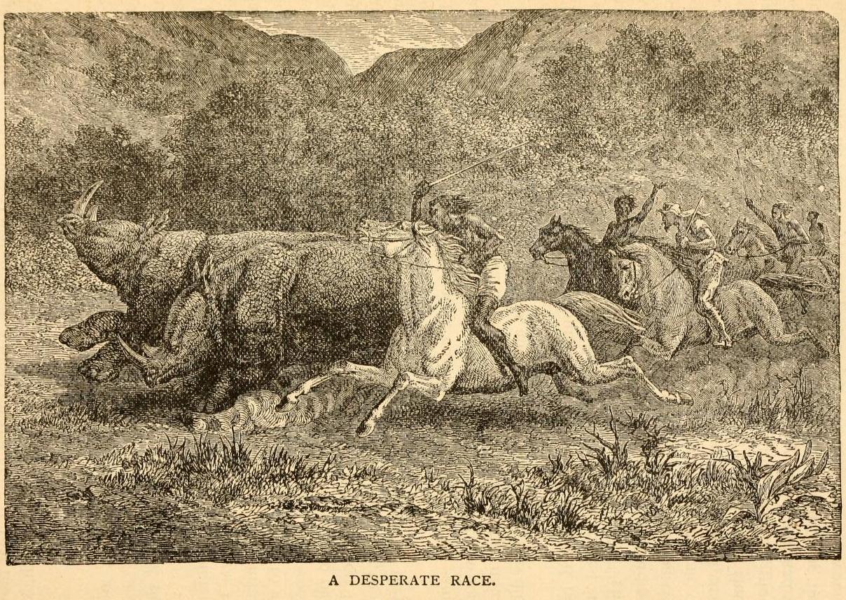 Northrop 1889 Desperate Race