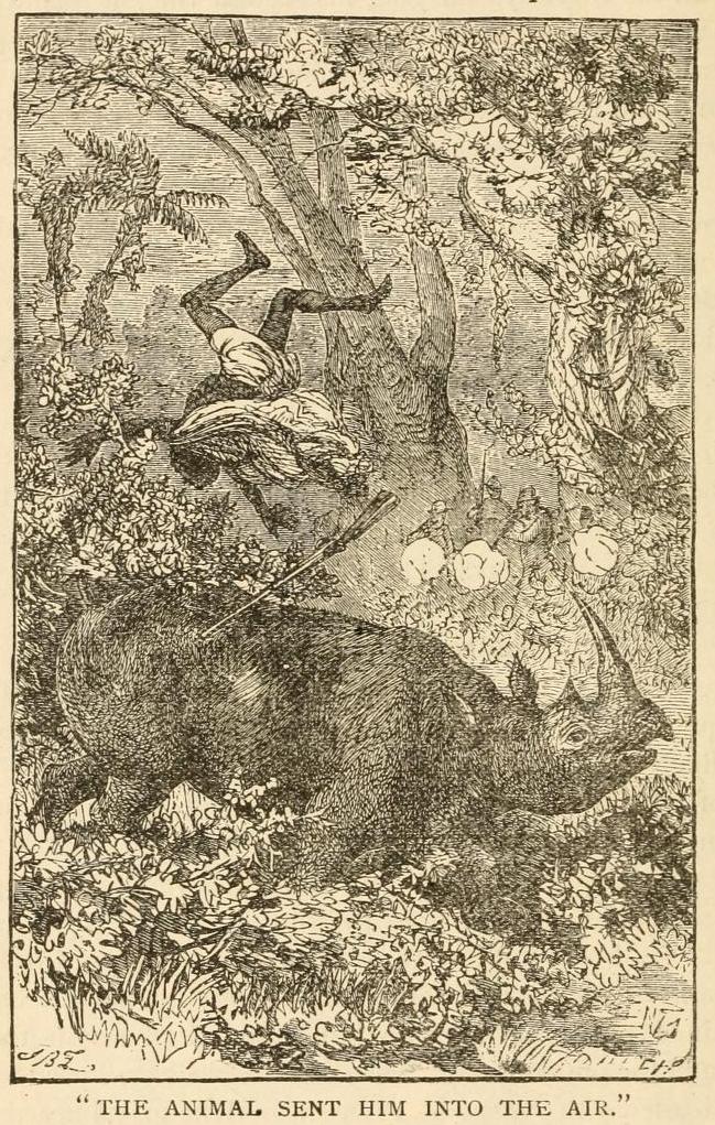 Northrop 1889 Into the Air