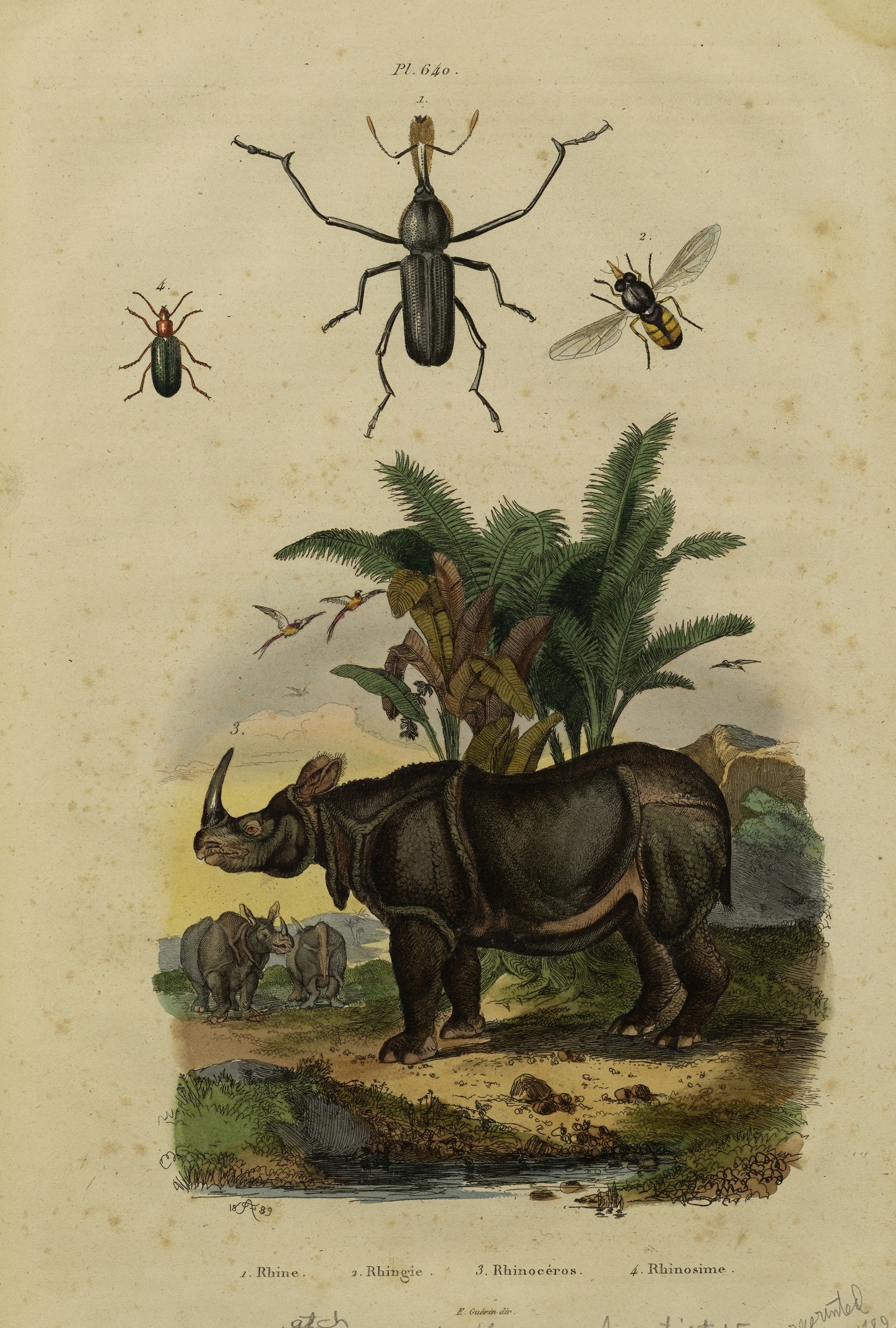 Guerin 1839 Dictionnaire