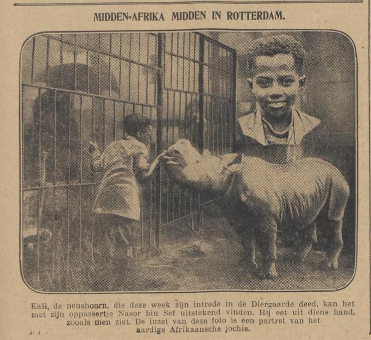 Rotterdam 1931 rhino with Nasor bin Sef